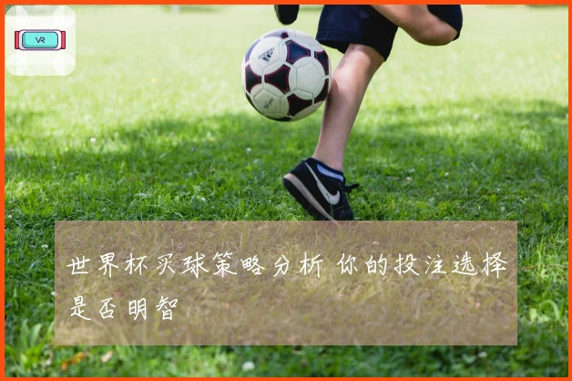 世界杯买球策略分析 你的投注选择是否明智