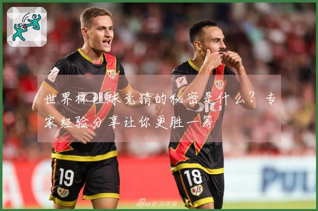 世界杯让球竞猜的秘密是什么？专家经验分享让你更胜一筹