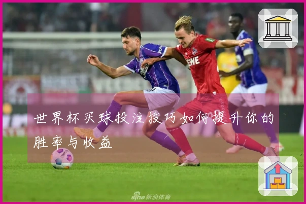 世界杯买球投注技巧如何提升你的胜率与收益
