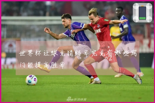 世界杯让球竞猜赔率究竟有哪些窍门能提高胜率