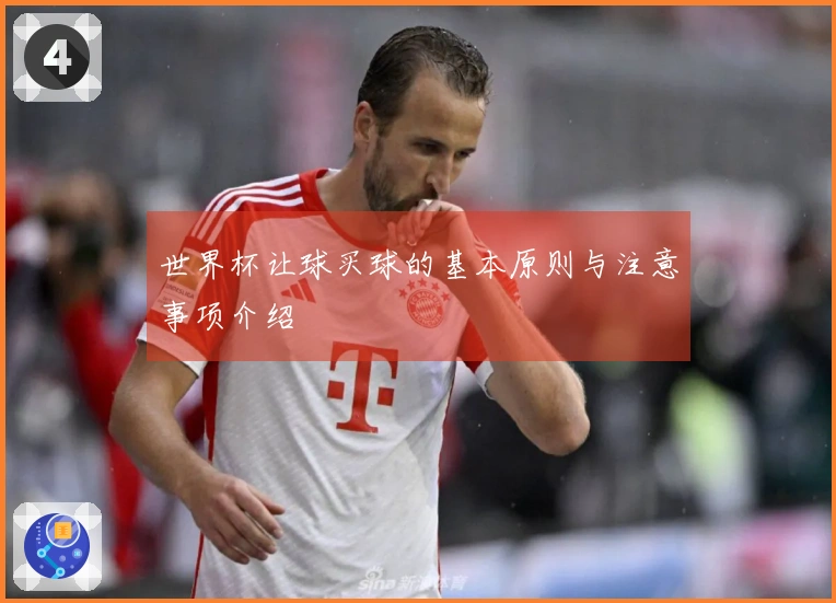 世界杯让球买球的基本原则与注意事项介绍