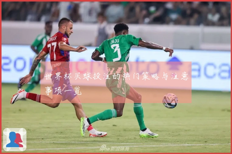 世界杯买球投注的热门策略与注意事项一览