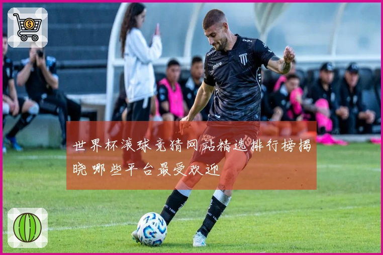 世界杯滚球竞猜网站精选排行榜揭晓 哪些平台最受欢迎