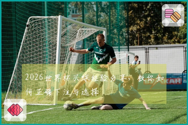 2026世界杯买球经验分享，教你如何正确下注与选择