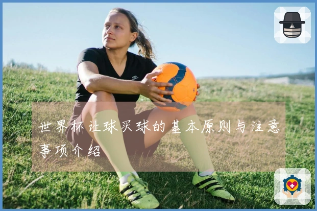 世界杯让球买球的基本原则与注意事项介绍