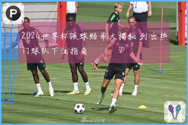 2026世界杯滚球赔率大揭秘 列出热门球队下注指南
