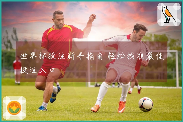 世界杯投注新手指南 轻松找准最佳投注入口