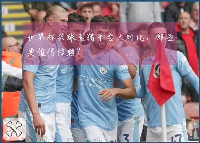 世界杯买球竞猜平台大对比,哪些更值得信赖?