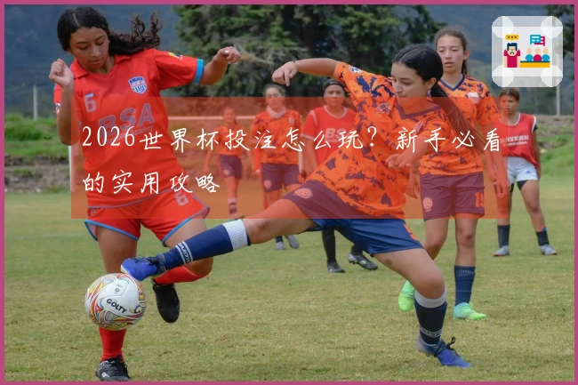 2026世界杯投注怎么玩？新手必看的实用攻略