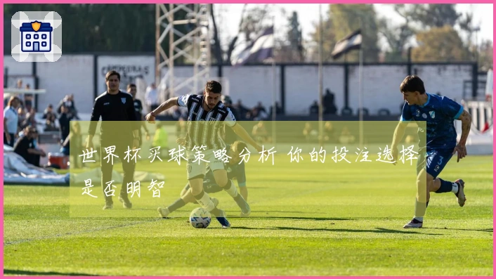 世界杯买球策略分析 你的投注选择是否明智