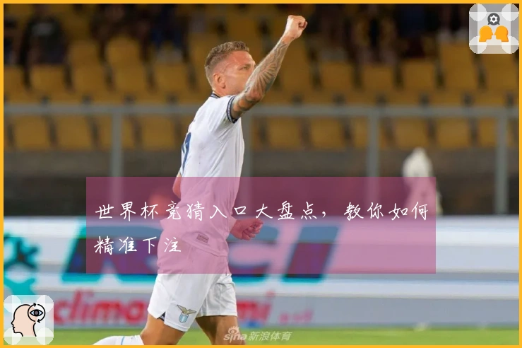 世界杯竞猜入口大盘点，教你如何精准下注