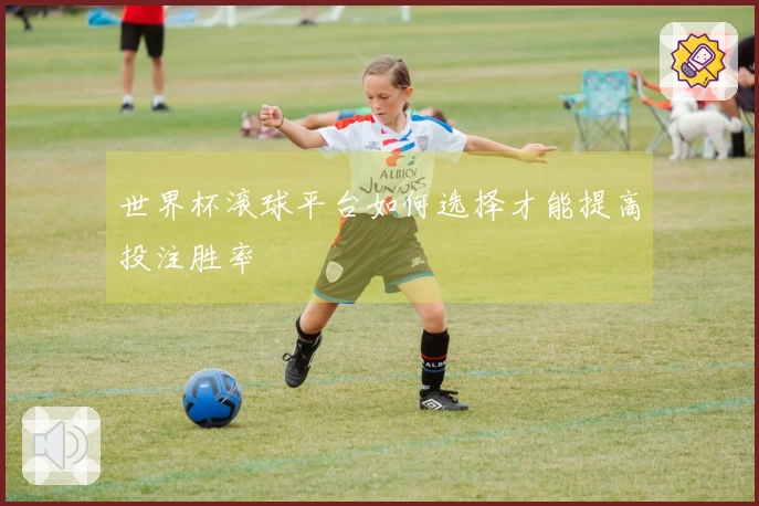 世界杯滚球平台如何选择才能提高投注胜率